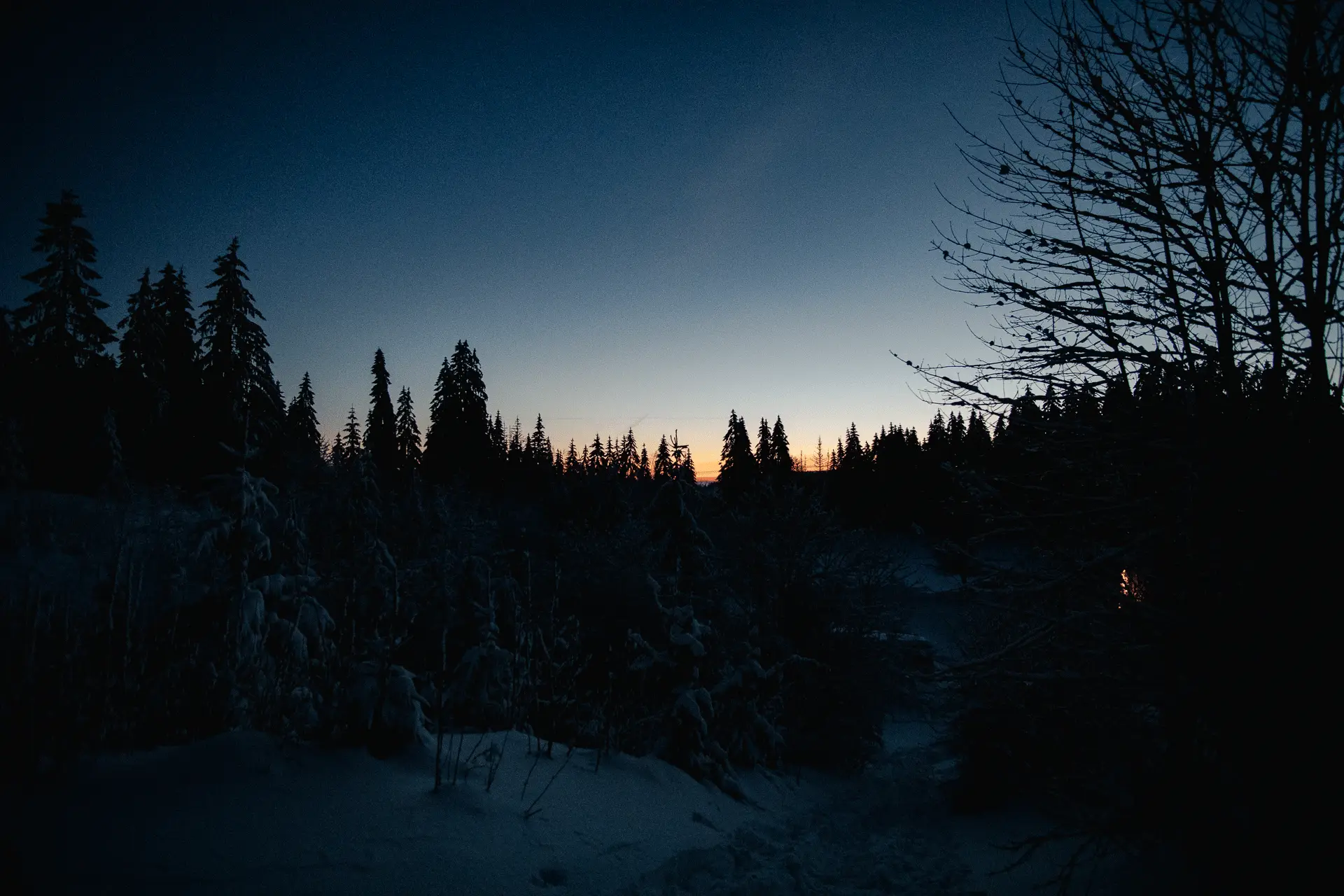 Startseite_Winter_Fellberbaude